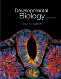 Developmental Biology:  cover art