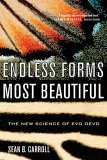 Endless Forms Most Beautiful The New Science of Evo Devo 2006 9780393327793 Front Cover
