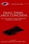 Small Firms, Large Concerns The Development of Small Business in Comparative Perspective 1999 9780198293798 Front Cover