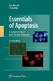 Essentials of Apoptosis A Guide for Basic and Clinical Research 2nd 9781603273800 Front Cover