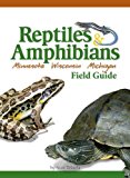 Reptiles &amp; Amphibians of Minnesota, Wisconsin and Michigan Field Guide  cover art