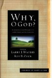 Why, o God? Suffering and Disability in the Bible and the Church cover art