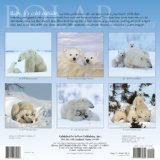 Polar Babies 2008 9781416280804 Front Cover