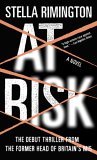 At Risk A Novel cover art