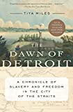 Dawn of Detroit A Chronicle of Slavery and Freedom in the City of the Straits  9781620974810 Front Cover