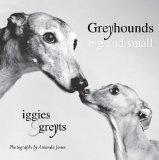 Greyhounds Big and Small Iggies and Greyts 2010 9780425232811 Front Cover