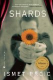 Shards A Novel cover art