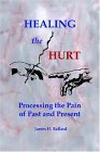Healing the Hurt 2004 9781418477813 Front Cover