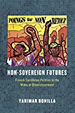 Non-Sovereign Futures French Caribbean Politics in the Wake of Disenchantment  9780226283814 Front Cover