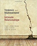 Violence and Maltreatment in Intimate Relationships 