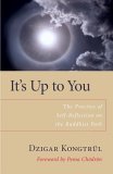 It's up to You The Practice of Self-Reflection on the Buddhist Path cover art