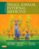 Small Animal Internal Medicine  cover art