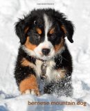 Bernese Mountain Dog A Gift Journal for People Who Love Dogs: Bernese Mountain Dog Puppy Edition 2013 9781494451820 Front Cover