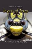 Insects of Texas A Practical Guide cover art