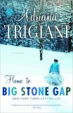 Home to Big Stone Gap A Novel 2007 9780812967821 Front Cover