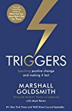 Triggers Sparking Positive Change and Making It Last  9781781252826 Front Cover