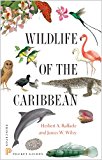 Wildlife of the Caribbean  9780691153827 Front Cover