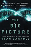 Big Picture On the Origins of Life, Meaning, and the Universe Itself  9780525954828 Front Cover