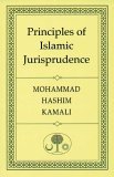 Principles of Islamic Jurisprudence 