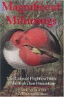Magnificent Mihirungs The Colossal Flightless Birds of the Australian Dreamtime 2004 9780253342829 Front Cover