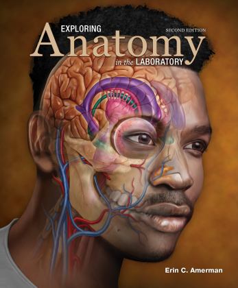 Exploring Anatomy in the Laboratory, Second Edition 2nd 9781640431829 Front Cover