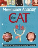 Mammalian Anatomy The Cat