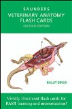 Veterinary Anatomy Flash Cards 2nd 9781455776832 Front Cover