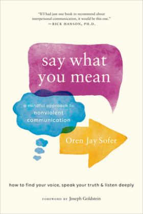 Say What You Mean A Mindful Approach to Nonviolent Communication 1st 2018 9781611805833 Front Cover