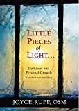 Little Pieces of Light... Darkness and Personal Growth  9780809149834 Front Cover