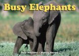 Busy Elephants 2011 9781582463834 Front Cover
