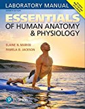 Essentials of Human Anatomy & Physiology:  9780134424835 Front Cover