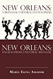 New Orleans A Bilingual Cultural Encyclopedia 2009 9781440122835 Front Cover