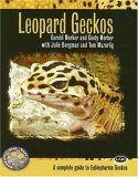 Leopard Geckos A Complete Guide to Eublepharine Geckos  9780793828838 Front Cover