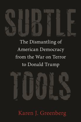 Subtle Tools The Dismantling of American Democracy from the War on Terror to Donald Trump  9780691215839 Front Cover