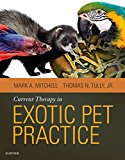 Current Therapy in Exotic Pet Practice  9781455740840 Front Cover