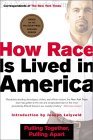 How Race Is Lived in America Pulling Together, Pulling Apart cover art