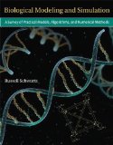 Biological Modeling and Simulation A Survey of Practical Models, Algorithms, and Numerical Methods cover art