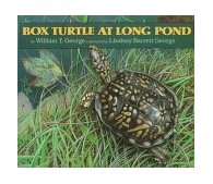 Box Turtle at Long Pond  9780688081843 Front Cover