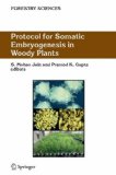 Protocol for Somatic Embryogenesis in Woody Plants 2005 9781402029844 Front Cover