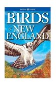 Birds of New England  cover art
