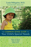 Common Sense Guide to Your Child's Special Needs When to Worry, When to Wait, What to Do cover art