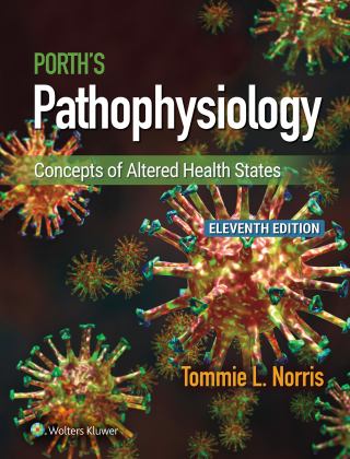 Porth's Pathophysiology Concepts of Altered Health States 11th 9781975176846 Front Cover