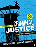 Introduction to Criminal Justice: Practice and Process cover art