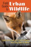 Field Guide to Urban Wildlife  cover art