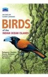 Chamberlain's Birds of the Indian Ocean Islands Madagascar, Mauritius, Reunion, Rodrigues, Seychelles and the Comores  9781431700851 Front Cover