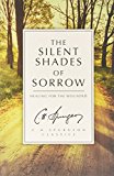 Silent Shades of Sorrow Healing for the Wounded  9781781915851 Front Cover