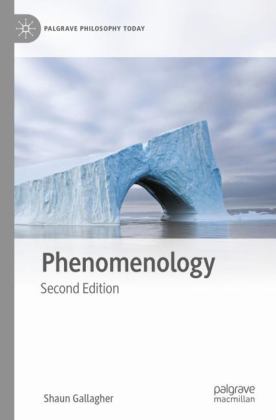 Phenomenology 2nd 9783031115851 Front Cover