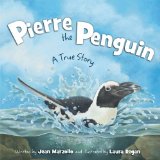 Pierre the Penguin  9781585364855 Front Cover