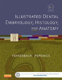 Illustrated Dental Embryology, Histology, and Anatomy  cover art