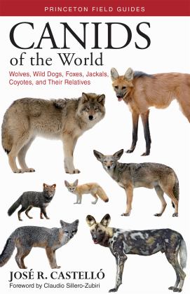 Canids of the World Wolves, Wild Dogs, Foxes, Jackals, Coyotes, and Their Relatives  9780691176857 Front Cover